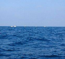 IDATEN(イダテン) 釣果