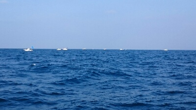 IDATEN(イダテン) 釣果