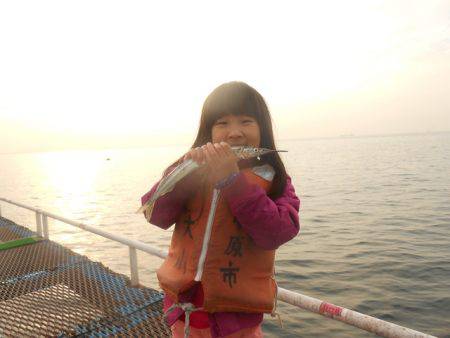 オリジナルメーカー海づり公園(市原市海づり施設) 釣果