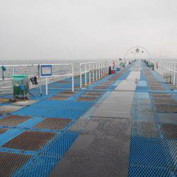 オリジナルメーカー海づり公園(市原市海づり施設) 釣果