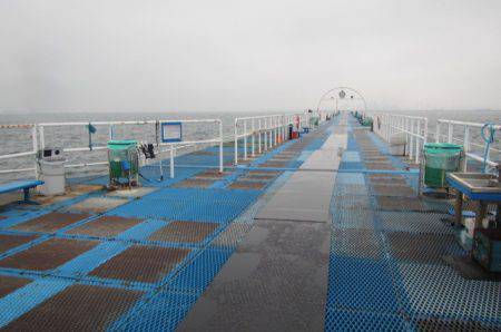 オリジナルメーカー海づり公園(市原市海づり施設) 釣果