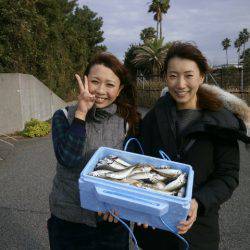 大阪南港海つり公園 釣果