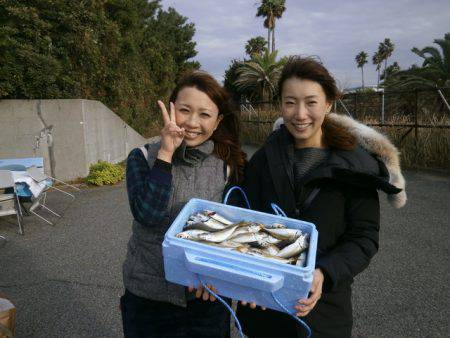 大阪南港海つり公園 釣果
