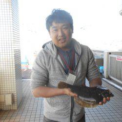 オリジナルメーカー海づり公園(市原市海づり施設) 釣果