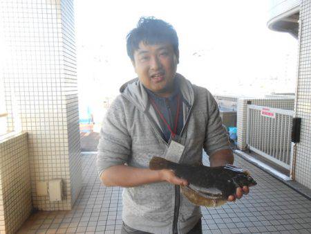 オリジナルメーカー海づり公園(市原市海づり施設) 釣果