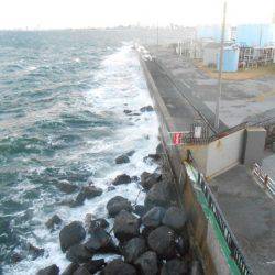 オリジナルメーカー海づり公園(市原市海づり施設) 釣果
