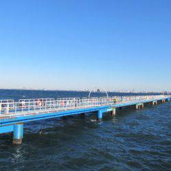 オリジナルメーカー海づり公園(市原市海づり施設) 釣果