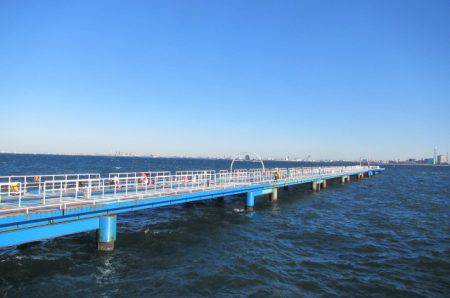 オリジナルメーカー海づり公園(市原市海づり施設) 釣果