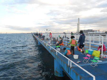 オリジナルメーカー海づり公園(市原市海づり施設) 釣果