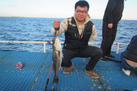 オリジナルメーカー海づり公園(市原市海づり…