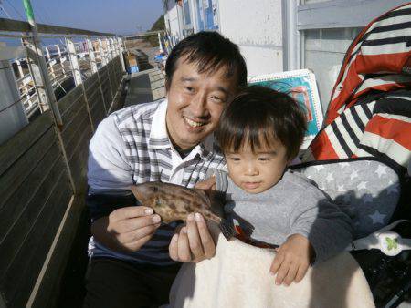 大阪南港海つり公園 釣果