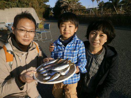 大阪南港海つり公園 釣果