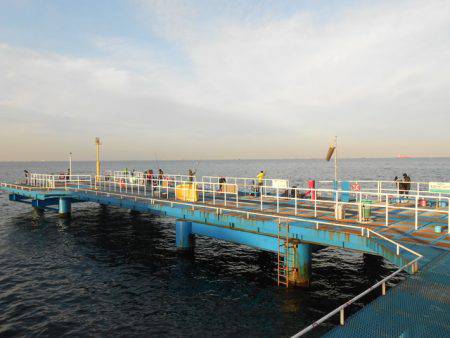 オリジナルメーカー海づり公園(市原市海づり施設) 釣果