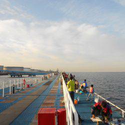 オリジナルメーカー海づり公園(市原市海づり施設) 釣果