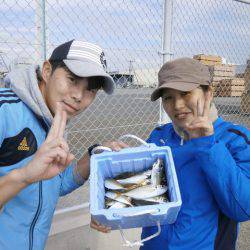 大阪南港海つり公園 釣果