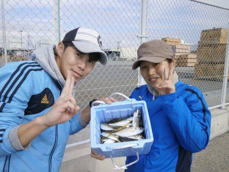 大阪南港海つり公園 釣果