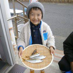 大阪南港海つり公園 釣果