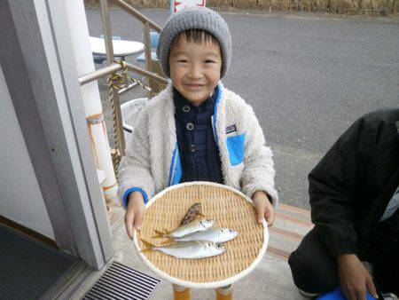 大阪南港海つり公園 釣果