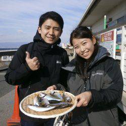 大阪南港海つり公園 釣果