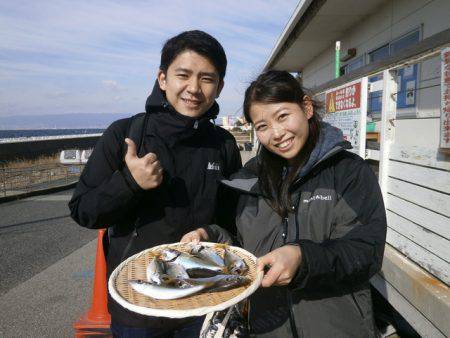 大阪南港海つり公園 釣果