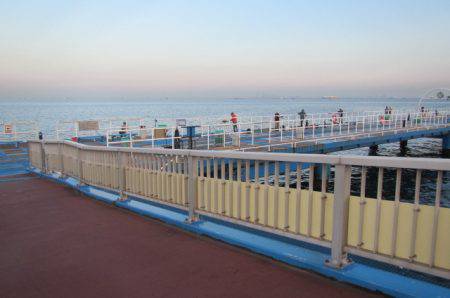 オリジナルメーカー海づり公園(市原市海づり施設) 釣果