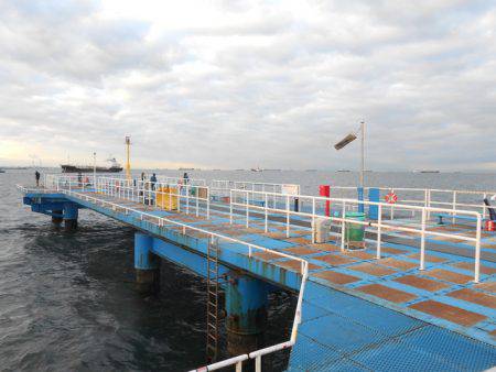 オリジナルメーカー海づり公園(市原市海づり施設) 釣果