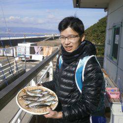 大阪南港海つり公園 釣果