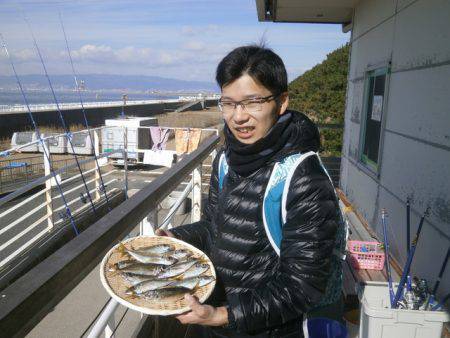 大阪南港海つり公園 釣果