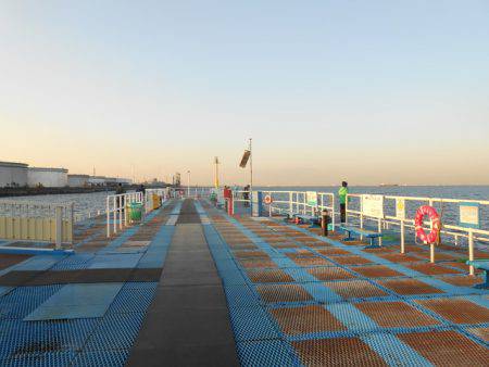 オリジナルメーカー海づり公園(市原市海づり施設) 釣果