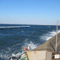 オリジナルメーカー海づり公園(市原市海づり施設) 釣果