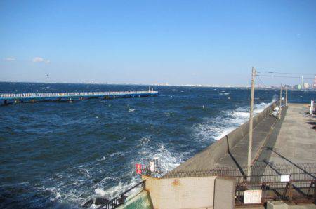 オリジナルメーカー海づり公園(市原市海づり施設) 釣果