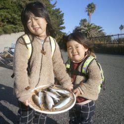 大阪南港海つり公園 釣果