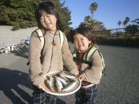 大阪南港海つり公園 釣果