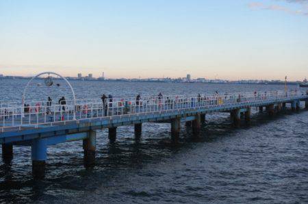 オリジナルメーカー海づり公園(市原市海づり施設) 釣果