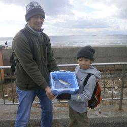 大阪南港海つり公園 釣果