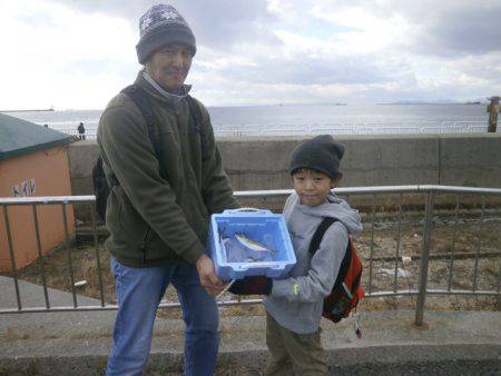 大阪南港海つり公園 釣果