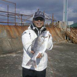 大阪南港海つり公園 釣果