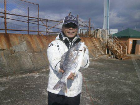 大阪南港海つり公園 釣果