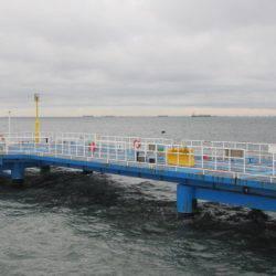 オリジナルメーカー海づり公園(市原市海づり施設) 釣果