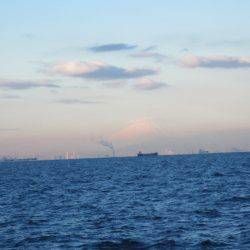 オリジナルメーカー海づり公園(市原市海づり施設) 釣果