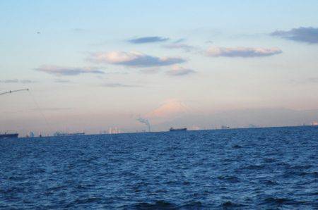 オリジナルメーカー海づり公園(市原市海づり施設) 釣果
