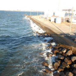 オリジナルメーカー海づり公園(市原市海づり施設) 釣果