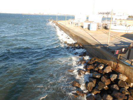 オリジナルメーカー海づり公園(市原市海づり施設) 釣果