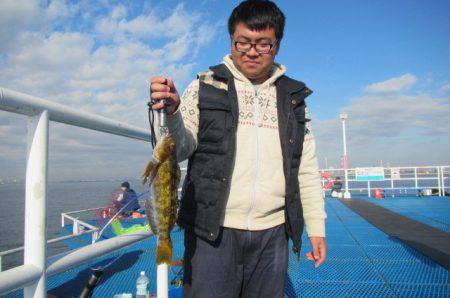 オリジナルメーカー海づり公園(市原市海づり…
