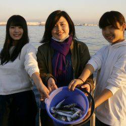 大阪南港海つり公園 釣果