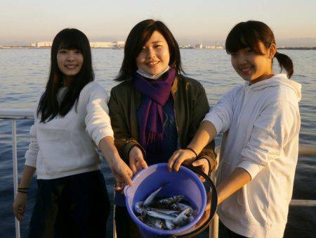 大阪南港海つり公園 釣果