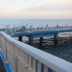 オリジナルメーカー海づり公園(市原市海づり施設) 釣果