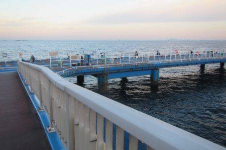 オリジナルメーカー海づり公園(市原市海づり施設) 釣果