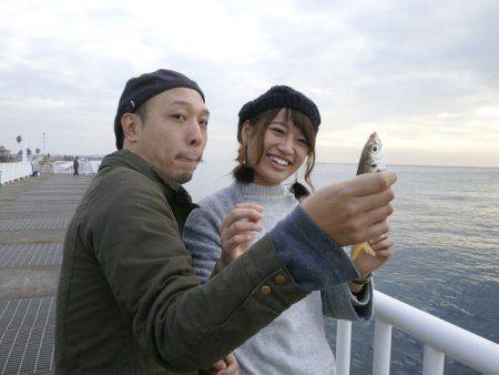 大阪南港海つり公園 釣果