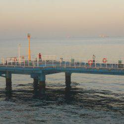 オリジナルメーカー海づり公園(市原市海づり施設) 釣果
